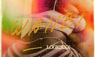 Logicxxx - Wanbi